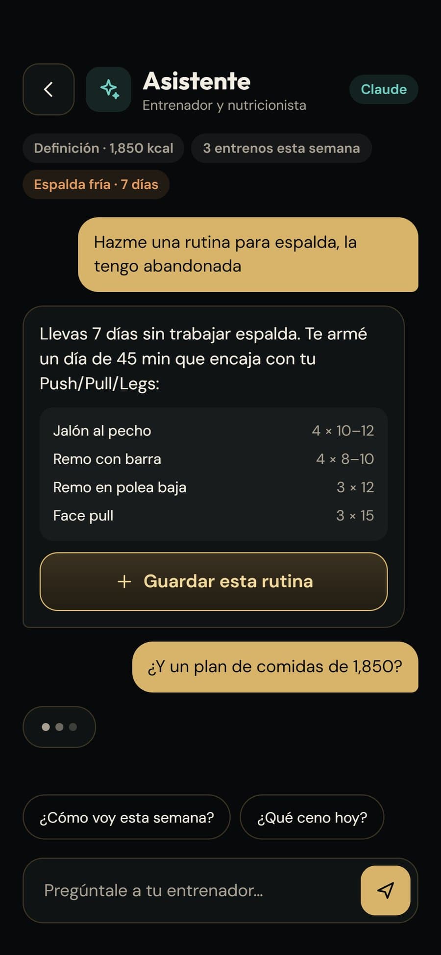 Chat con el asistente de entrenamiento
